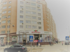 улица Аксакова, 133