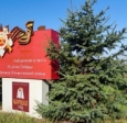 улица Студенческая, 12 (фото 35)